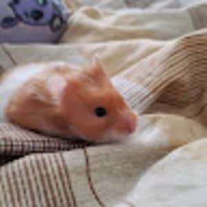 Meet your Posher, Joanne